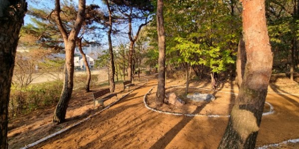 5-1. 용인특례시 수지구 상현동 서봉숲속근린공원 내 산책로 일부 구간 어싱길 조성 공사 모습.JPG