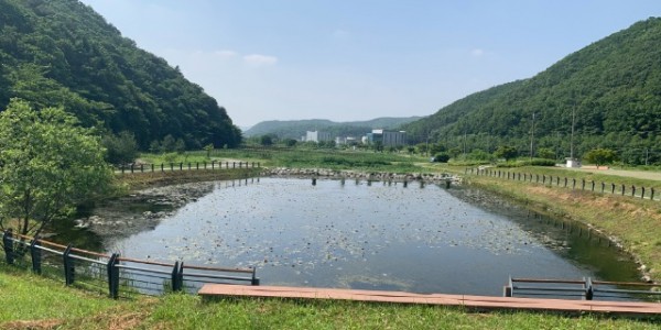 3. 반딧불이 서식처로 조성되는 처인구 호동 길엄습지 전경.jpg