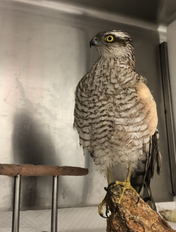 2024-01-09 08;49;36.PNG