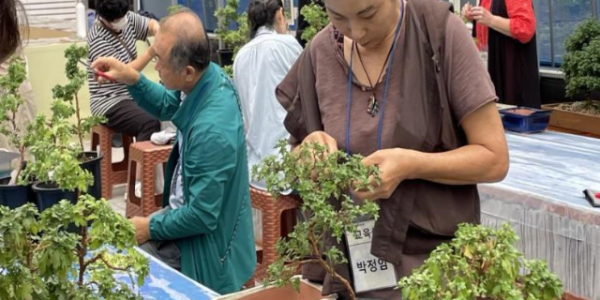 5. 지난해 용인특례시 국화원예교육 수강생들이 분재에 열중하고 있는 모습.png