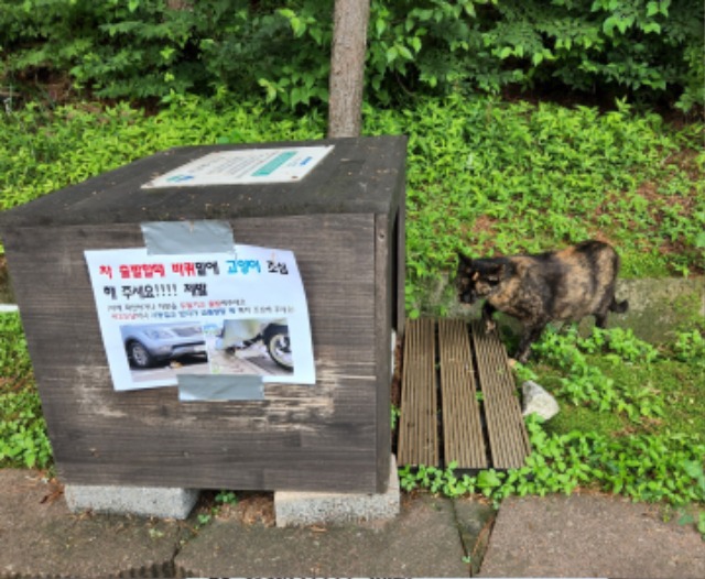 고양이+급식소.jpg