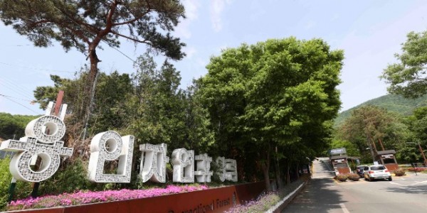 2-1. 용인자연휴양림 입구 전경.jpg