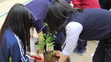 블루베리+체험학습단+2023(수원시+송원중학교).jpg