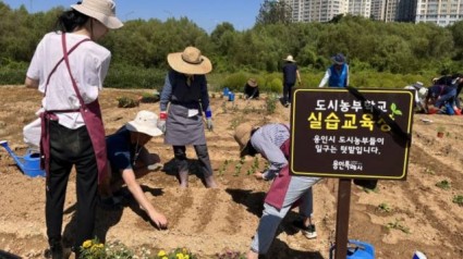 1. 지난해 도시농부학교 텃밭교육에 참가한 시민들 모습.jpg