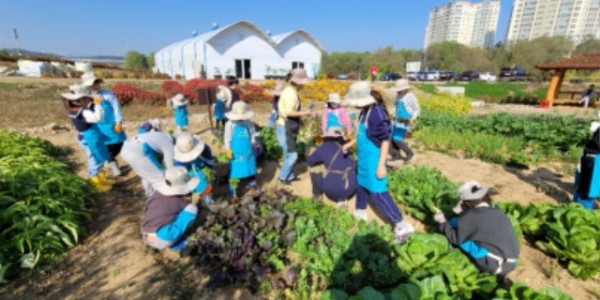 2. 용인특례시가 올해 시민농장에서 텃밭을 가꿀 도시농부 794팀을 선정했다.jpg