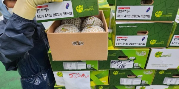 4. 용인특례시가 유치원에 다니는 어린이에게 제철 과일을 간식으로 제공한다. 관계자가 제공할 과일을 옮기고 있다..jpg