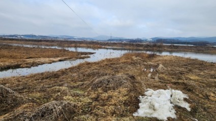 1. 용인특례시가 율곡천(사진) 수질개선 사업을 진행할 예정이다..jpg