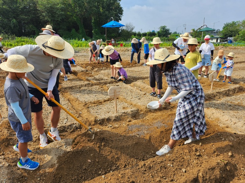 7-2. 용인특례시 수지구보건소가 마련한 아토피 안심학교 체험농장 모습.jpg