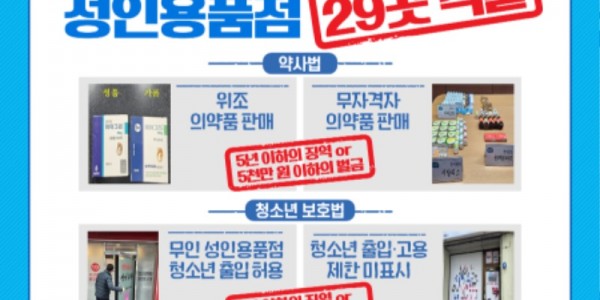 그래픽보도자료_성인용품점 적발.jpg