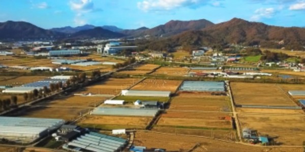 6. 용인특례시가 후계농업경영 청년 농업인을 선정했다. 사진은 농가들이 있는 처인구 원삼면 전경..jpg