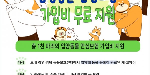 그래픽보도자료_입양동물+안심보험(1).jpg