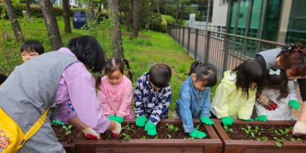 6. 용인특례시가 진행한 어린이 청경채 체험 현장 모습.jpg