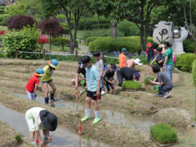 8. 농촌테마파크에서 어린이들이 모내기 체험을 하고 있다.jpg