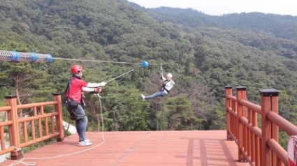 3. 용인특례시 자연휴양림의 대표 인기 시설 _짚라인_.jpg