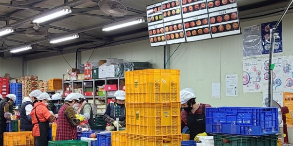 3-1. 건강과일 지원사업에 제공되는 과일.jpg