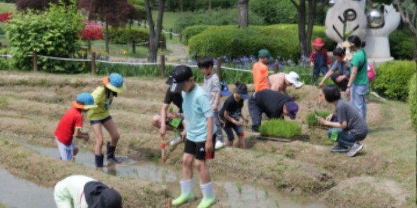 8. 농촌테마파크에서 어린이들이 모내기 체험을 하고 있다.jpg