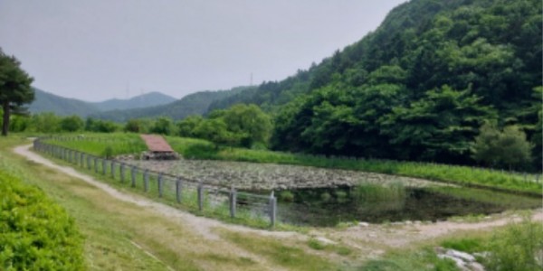 1. 용인특례시가 길업습지에 반딧불이 서식처 복원을 위한 식생환경 조사를 벌인다.jpeg