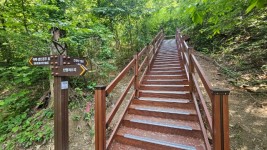 2-2. 용인특례시는 처인구 포곡읍 신원 저수지에서 시작하는 선장산 숲길 0.5km 구간 숲길을 신설했다..jpg