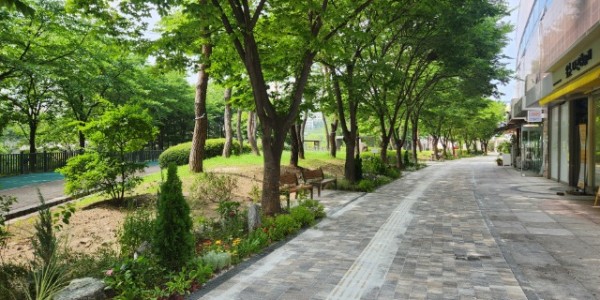 5. 용인특례시는 동백호수공원 중앙광장~공원남쪽출입구 150m 구간 바닥재를 전면 교체하고 보행로 주변에 초화류 등을 심어 거리정원을 조성했다..jpg