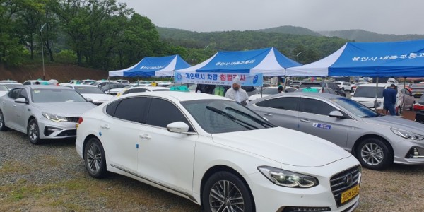 1. 다음 달부터 적용되는 외부 표시 기준을 적용한 용인특례시 운행 중형택시.jpg