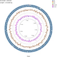 3.+Planktothricoides+raciborskii+전장유전체+지도.jpg