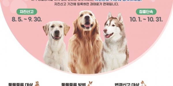 2. 용인특례시 동물등록 안내 포스터.jpg