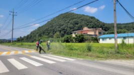 5-1. 용인특례시는 추석 명절을 앞두고 시민과 귀성객에게 안전하고 쾌적한 환경을 제공하기 위해 시 곳곳 도로 제초작업에 나섰다..jpg