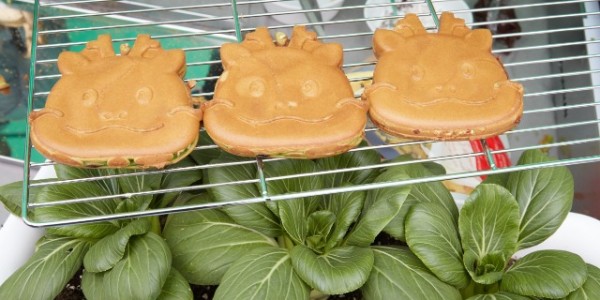 20240928 의원연구단체 I LOVE 용인, 조아용 빵 품평회 개최(1).jpg