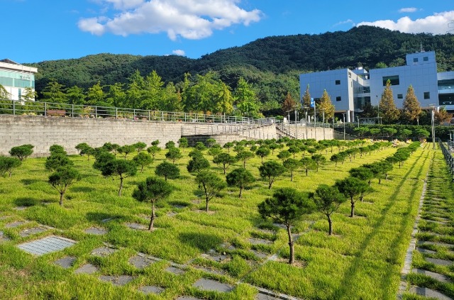 사진자료(용인 평온의 숲, 수목장 4위형 10월 1일부터 확대·운영 개시).jpg