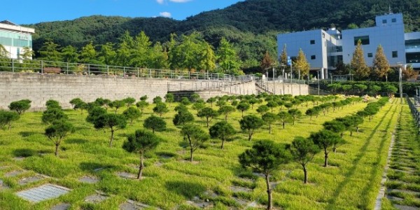 사진자료(용인 평온의 숲, 수목장 4위형 10월 1일부터 확대·운영 개시).jpg