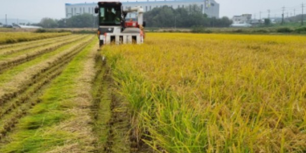 2-1. 용인특례시가 올해 생산한 공공비축미 820톤을 매입한다..jpg