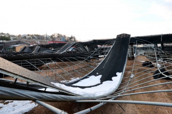 10-1. 용인특례시 처인구 양지면에 폭설 피해를 입은 버섯농가의 모습.JPG