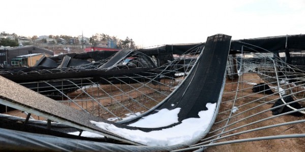 10-1. 용인특례시 처인구 양지면에 폭설 피해를 입은 버섯농가의 모습.JPG