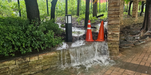 스크린샷 2025-01-13 221510.png