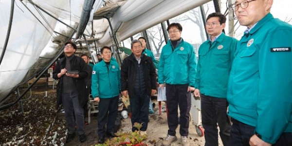 8-1. 이상일 용인특례시장이 12월 1일 이한경 행정안전부 차관과 처인구 남사읍 화훼농가를 방문해 폭설피해를 확인하고 있다.jpg