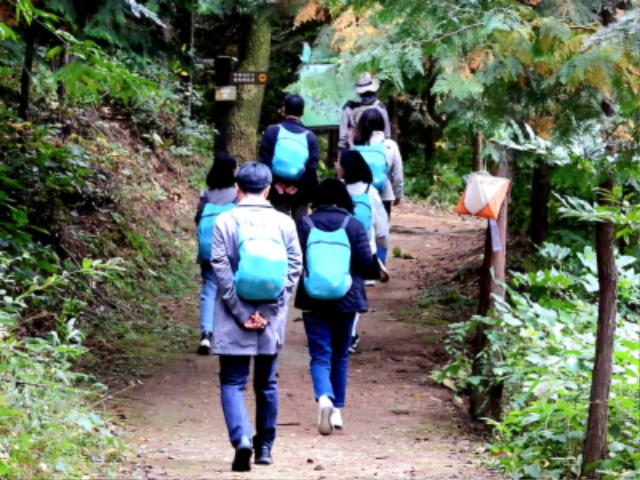 4-1. 용인산림교육센터에서 진행하는 숲 체험 프로그램 모습.jpg