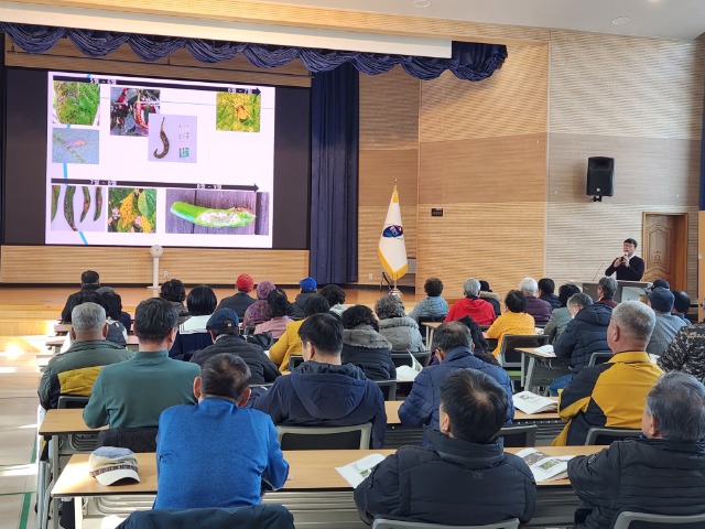 4. 용인특례시의 농업인 상설 교육 중 14일에 진행된 _고품질 고추재배 기술 교육_ 현장 모습.jpg