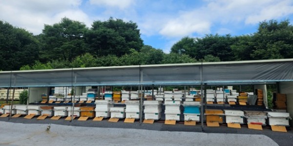 3-1. 용인특례시 양봉 농가 사진.jpg