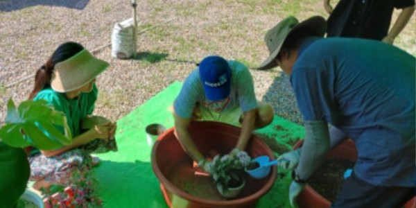 2. 용인특례시에서 제공하는 반려식물 분갈이 서비스 모습.JPG