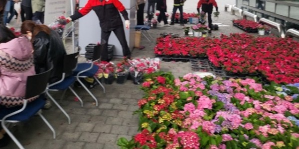 6. 지난해 열린 나무 나누어주기 행사 장면.jpeg