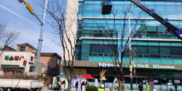 6. 수지구 관계자들이 가로수를 정비하고 있다.jpg