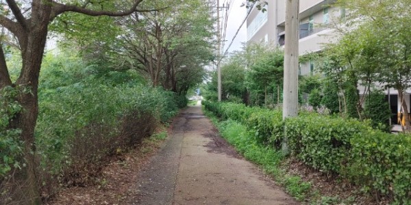 250320 1-1. 용인특례시가 경안천 제방 일대 환경개선 사업을 시작했다..jpg