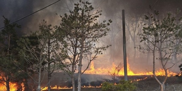 2. 용인특례시 산림 인접지역의 논·밭에서 영농 부산물 등의 불법 소각 행위로 인한 산불 발생 모습.JPG