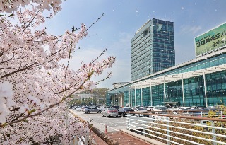 4. 용인특례시청 전경.JPG