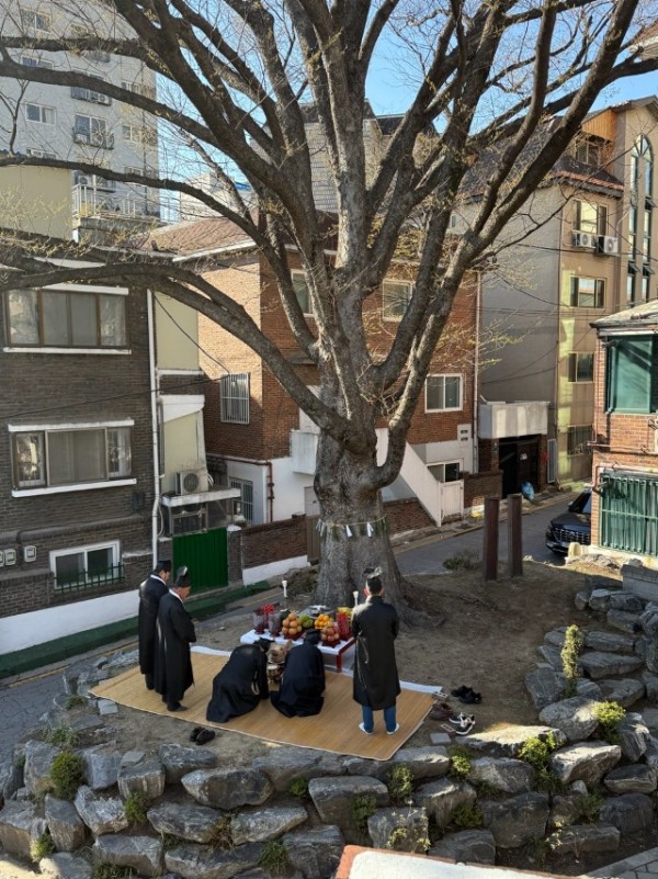 8. 관곡마을 느티나무 고사제 봉행.jpg