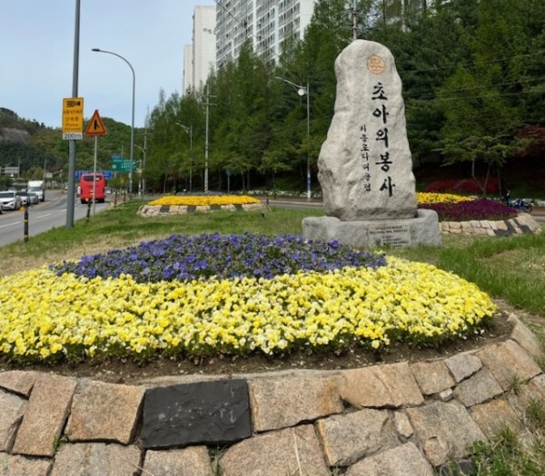 6-1. 기흥구 교통섬 꽃 식재 모습.jpg