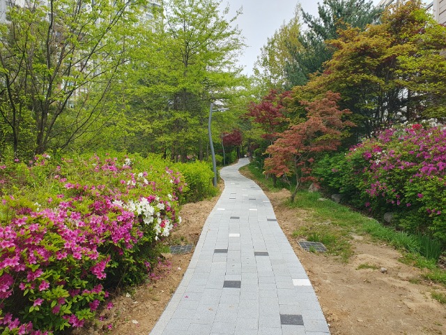 4. 수지구 산책로 정비 모습.jpg