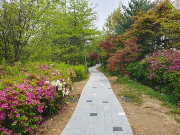 4. 수지구 산책로 정비 모습.jpg
