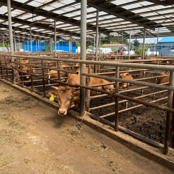 1. 용인특례시는 2025 저탄소 농업 프로그램 시범사업 참여 축산농가를 모집중에 있다.jpg