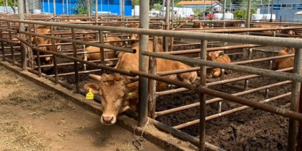 1. 용인특례시는 2025 저탄소 농업 프로그램 시범사업 참여 축산농가를 모집중에 있다.jpg